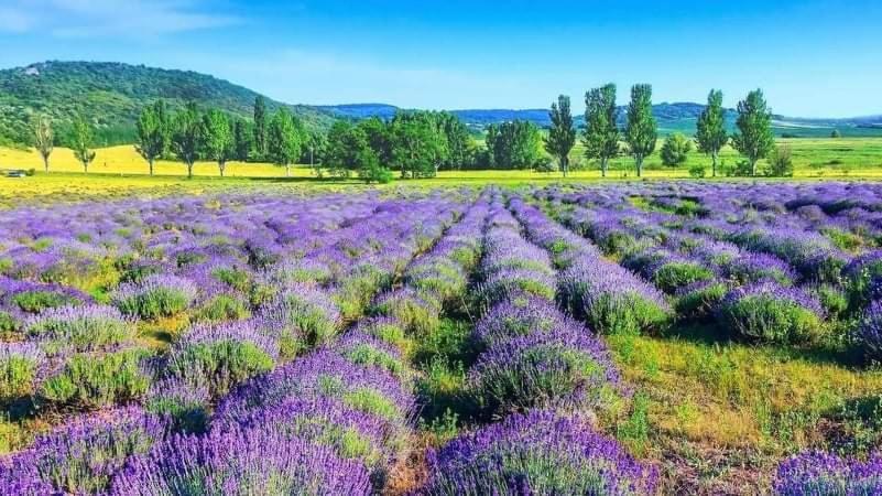 Legkondicionalt, Erkelyes Szoba, Privat Fuerdovel A Balatonon Kőröshegy المظهر الخارجي الصورة
